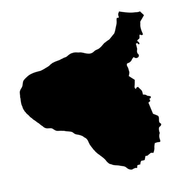 타라나키 지역 지도, 뉴질랜드의 행정 구역. 벡터 일러스트 레이 션입니다. - taranaki region stock illustrations