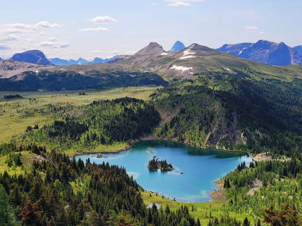 istock Sunshine Meadows, Banff National Park, Canada 1949434785