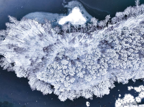 istock Cold river and white forest with rime in Poland. 1949435856
