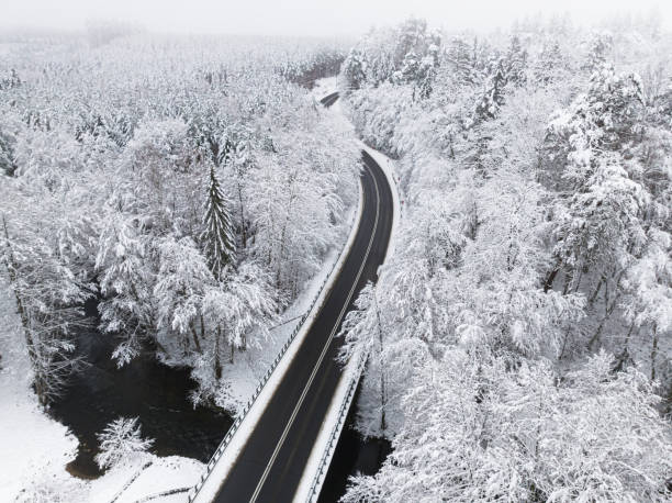 istock Stunning frozen forest with snow-covered trees and asphalt road. 1949443194