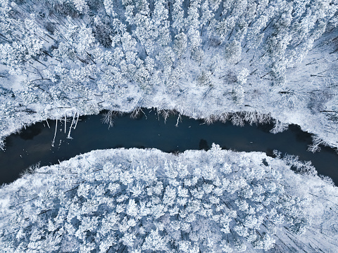 Top down view of Brda river and snowy forest. Trees are covered with snow.