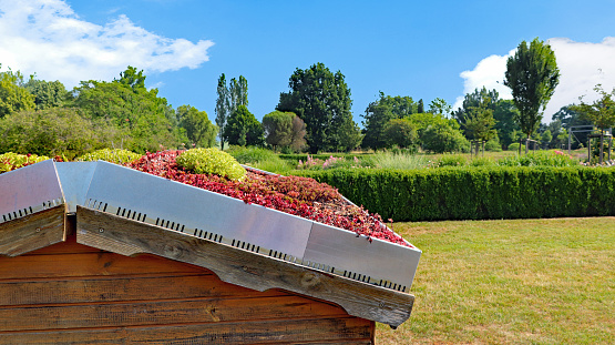 Green roof planted with succulent plants for house, garage, garden shed or carport.