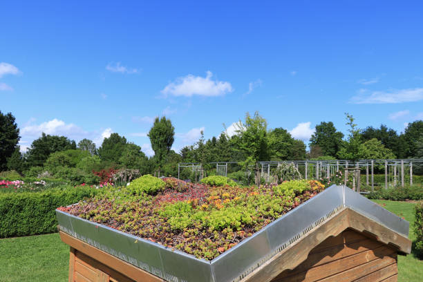 istock Green roof planted with succulent plants 1949464104