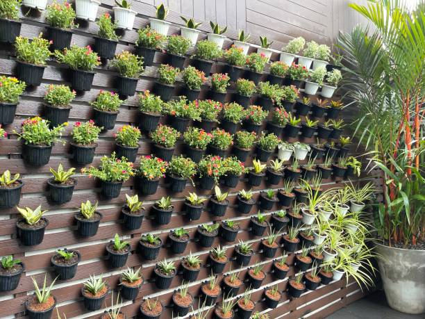 istock Vertical garden decoration idea 1949466188