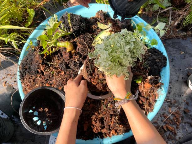 istock Soil preparation for planting in the garden 1949470936