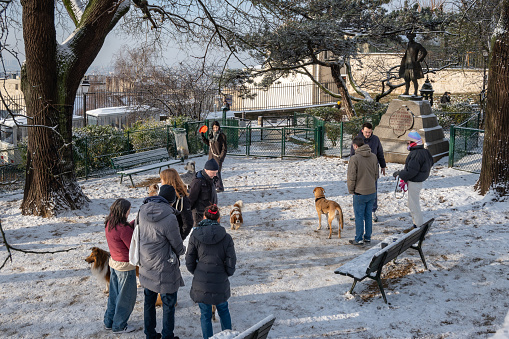 Paris, France, 18th of January 2024, Parisians with their dogs at a public park for dogs,