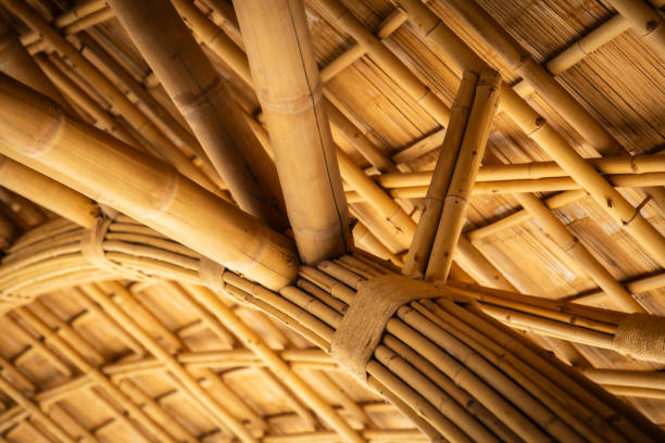 istock Sustainable Resources – building with bamboo, climate-friendly building material 1949488950
