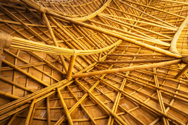 istock Sustainable Resources – building with bamboo, climate-friendly building material 1949488981