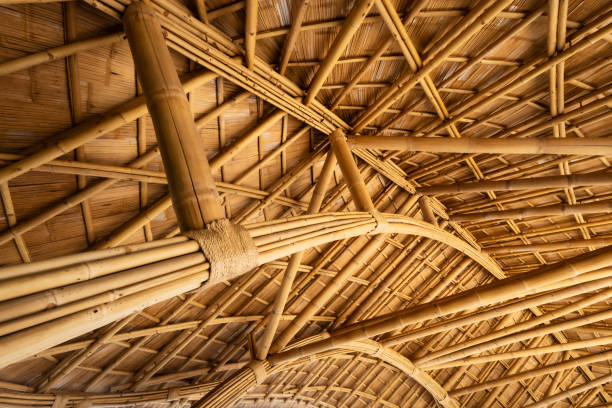 Bamboo is a really exceptional green building material. New technologies promise a great future in the construction industry.