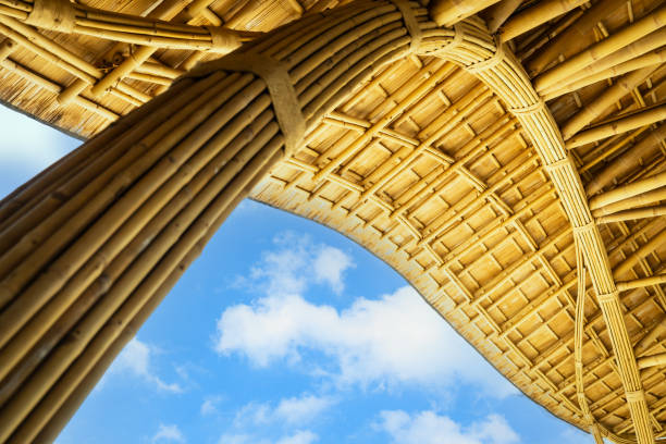 Bamboo, palm leaf and wicker roof detail in circular form, a frequently found building material in Costa Rican homes and buildings, Corcovado, Costa Rica
