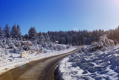 Idyllic Scene Of a Mountain Road in Winter