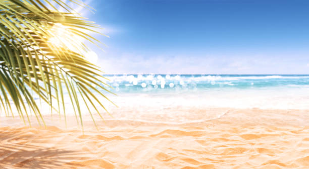 istock Beautiful exotic beach view with palm trees 1949513971