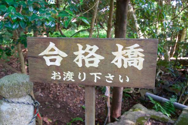 istock wooden signboard 1949513987
