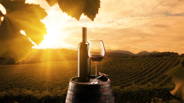 istock Wine bottle and wineglass in the vineyard 1949521358