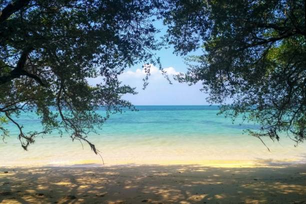 istock Deserted beach in blue clear sea and green trees 1949550879
