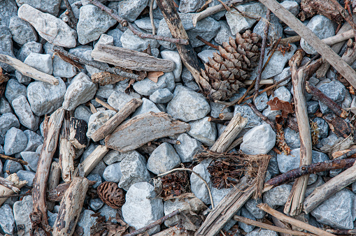 Close-up of driftwood on a lake shore (Salzkammergut).