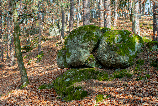 Typical landscape of the Mühlviertel (northern Upper Austria). The granite rocks, which have been exposed in the course of evolution, pile up on top of each other. (Bezirk Urfahr Umgebung)