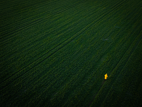Aerial view of unrecognizable young man walking in spring green agricultural field.
