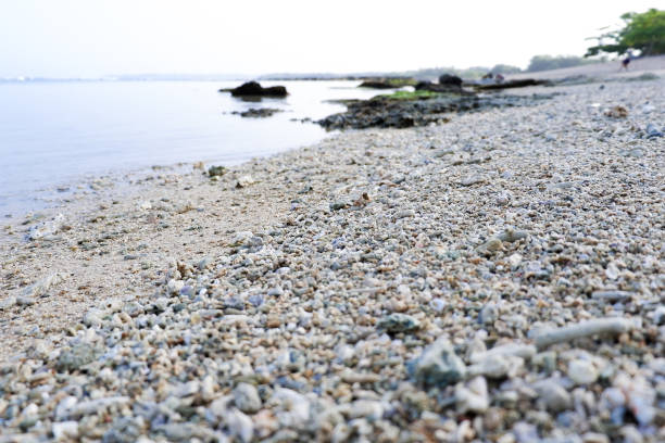 istock The sand of Ujung Genteng Beach 1949582396
