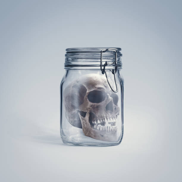 Creepy old human skull enclosed in a glass jar, horror and mystery concept