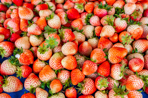 Pile ripe strawberry on market stall in the market.