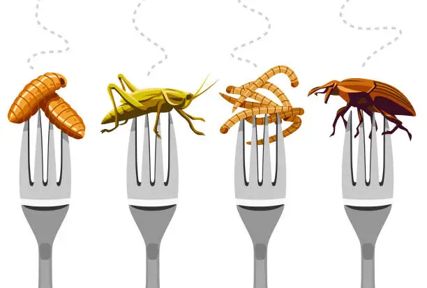 Vector illustration of Insects On Forks