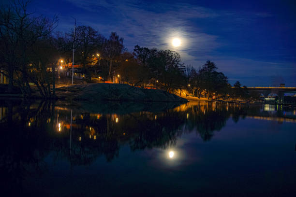 View of a rocky beach at night