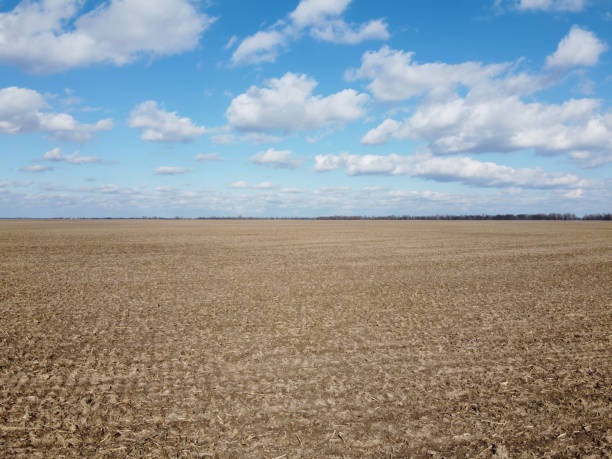 istock Beautiful blue sky over farm fields on a sunny day, aerial view. Landscape. 1949634149
