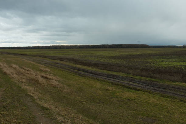 istock Agricultural field on a cloudy evening. Field landscape. 1949636294