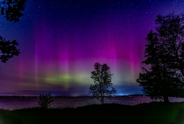 istock Northern Lights Magic Higgins Lake South State Park-2 1949650921