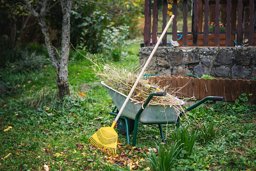 A cart with dry grass and a rake standing in the garden at the backyard of a country house