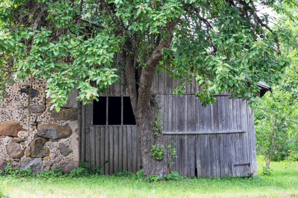 istock Old boulder barn wall with old wooden plank barn 1949686033