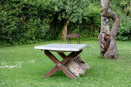 An old wooden table in the garden with cut grass and an old tree with a bare trunk
