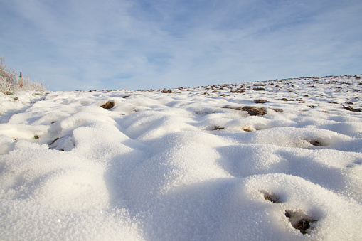 Snow in close up on the field and a blue sky