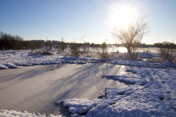 Sun in the tree on the meadow and long shadows