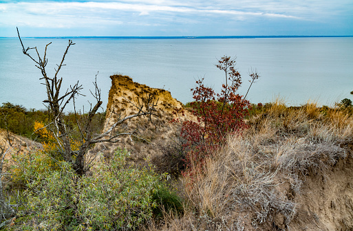 Clay shores of the Dniester estuary, steep with ravines, overgrown with wild steppe vegetation