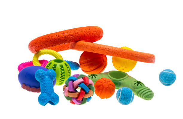 istock dog toys isolated 1949708987
