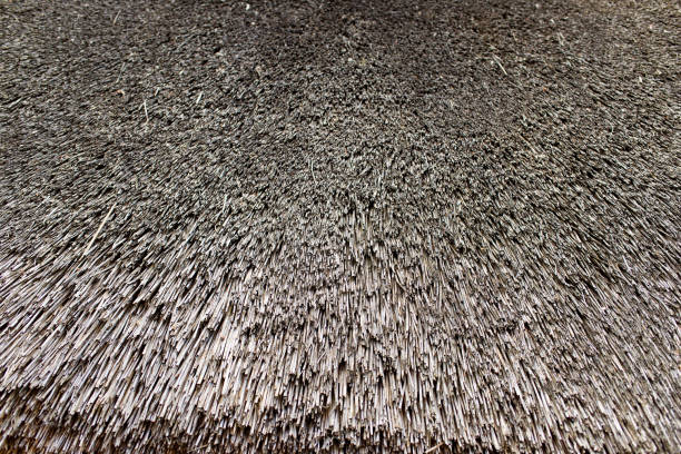 Close up straw wall texture background, old vintage thatched roof element.