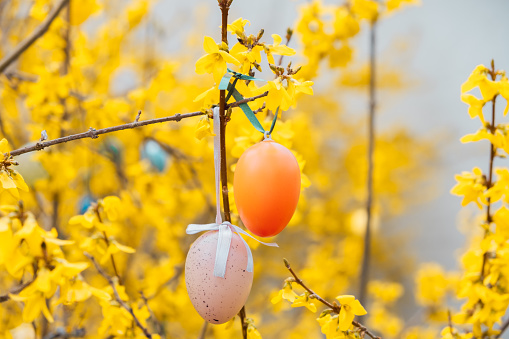 Beautiful Easter eggs on a flowering tree.