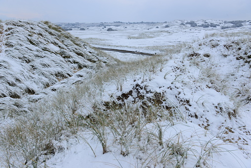 Winter over sand dunes.