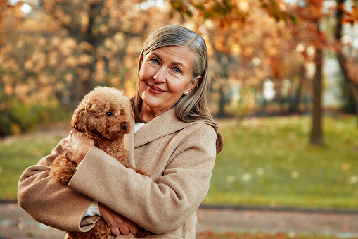 Mature beautiful gray-haired woman in a coat walking with her dog friend in the park in autumn.