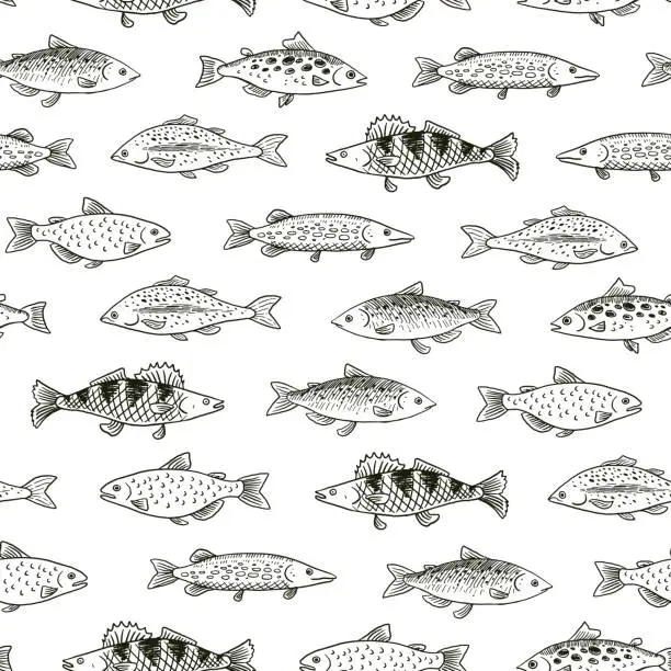 Vector illustration of River freshwater fish vector seamless pattern.