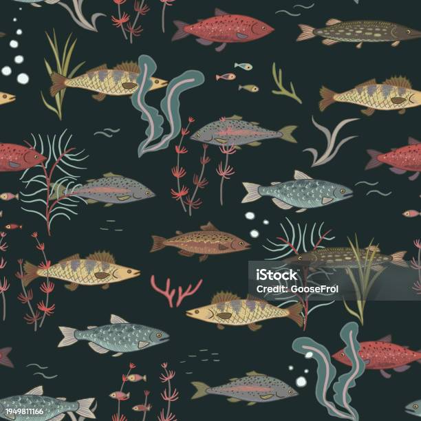 Samlesh Pattern Fish River Freshwater Fish Vector Seamless Pattern Stock Illustration ...