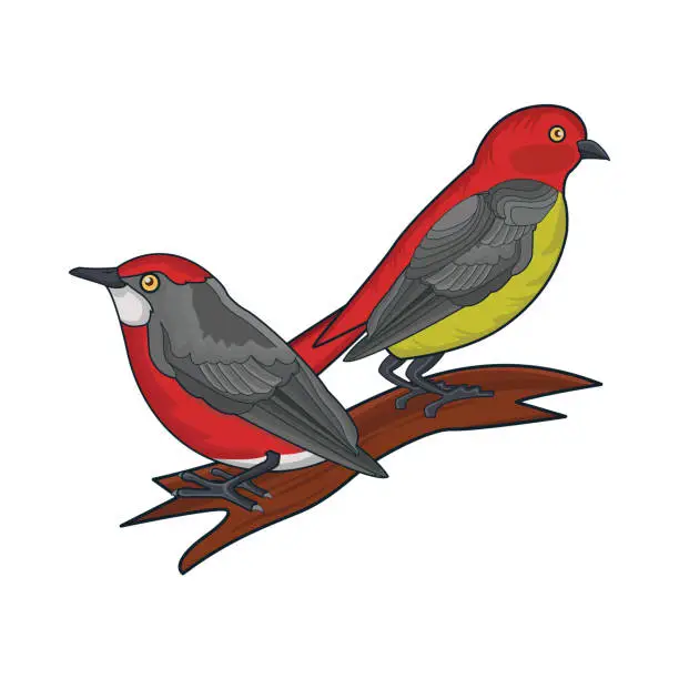 Vector illustration of bird