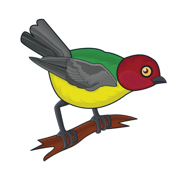 Vector illustration of bird