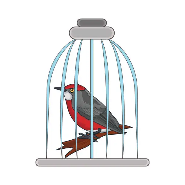 Vector illustration of bird