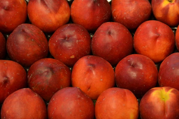 Peach on White Background