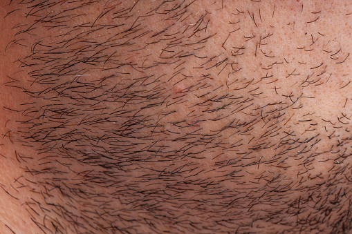 Human male beard hair close-up view