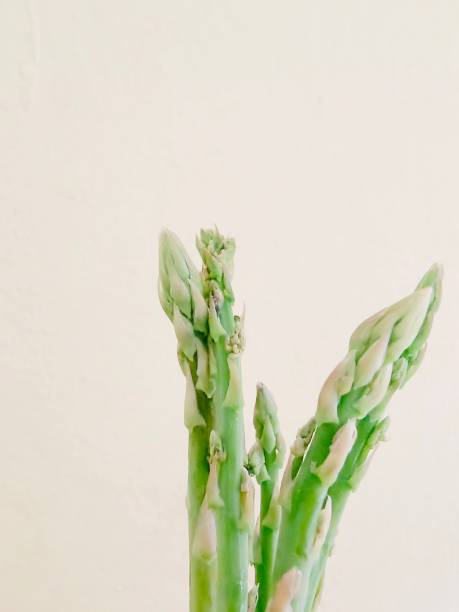 Defocused view of asparagus isolated on white background