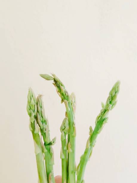 asparagus